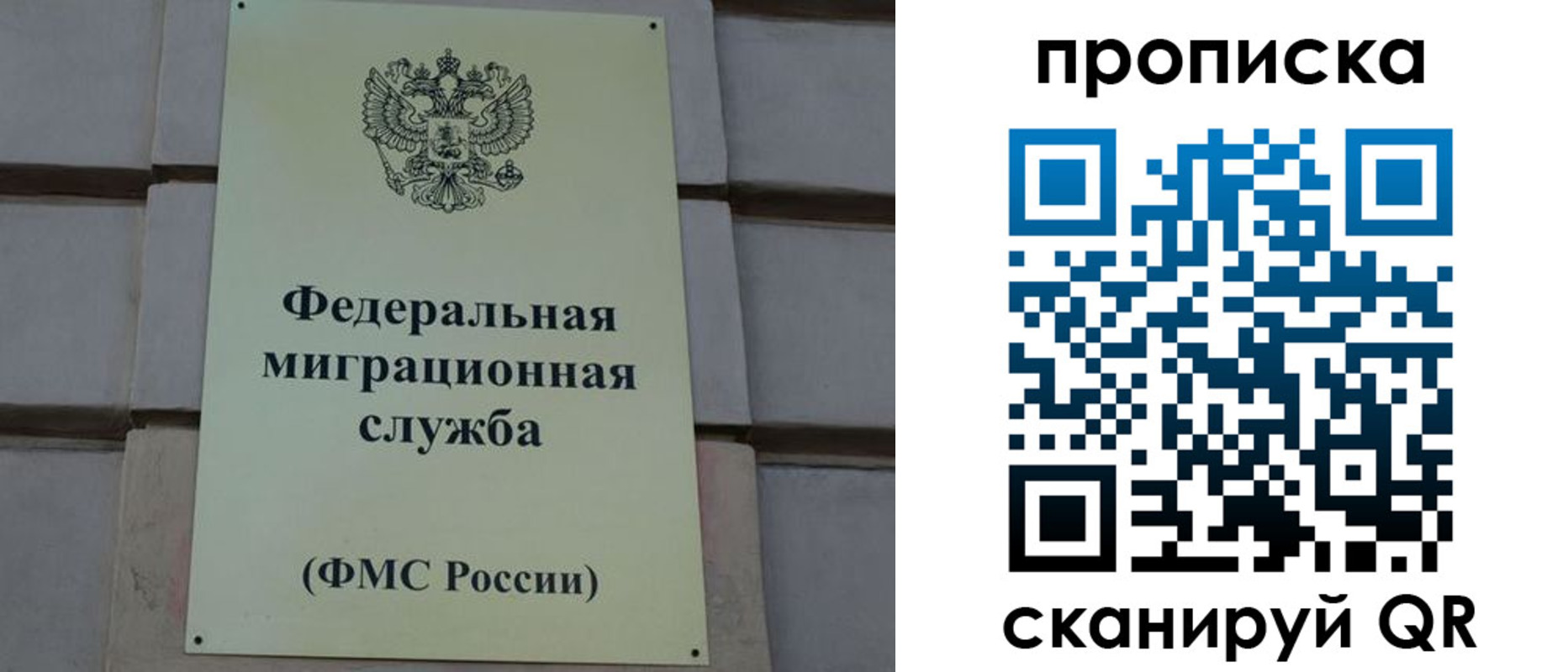 прописка поиск в Волхове